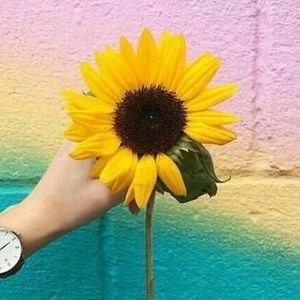 Meet your Posher, Karelly